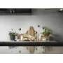 Доска для сыра со стеклянной крышкой SagaForm Nature