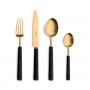 Набор столовых приборов CUTIPOL Ebony Gold Matte, матовый позолоченные