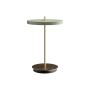 Портативный светильник Asteria Ø20, оливковый
