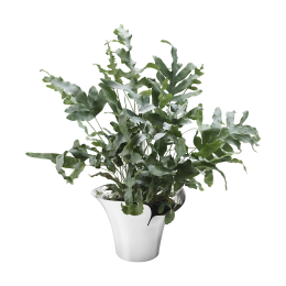 Цветочный горшок Bloom Botanica D25,5 см