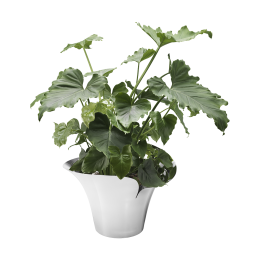Цветочный горшок Bloom Botanica D32,5 см