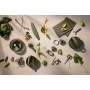 Мини-измельчитель Green Tools зеленый