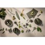 Пресс для котлет Green Tools зеленый