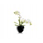 Горшок для орхидеи Orchid Pot черный