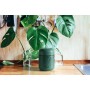 Контейнер для горячего MB Capsule jungle