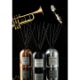 Диффузор ароматический Mise En Scene Jazz club 200 мл