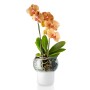 Горшок для орхидеи с функцией самополива 13 см