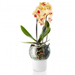 Горшок для орхидеи с функцией самополива D15 см белый