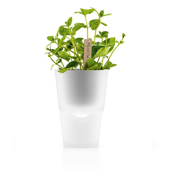 Горшок для растений с функцией самополива D11 см матовое стекло